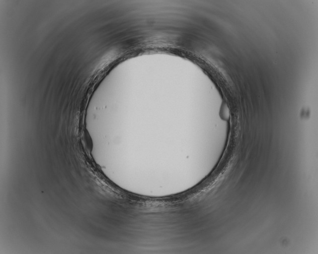 X0000094460777200712061222