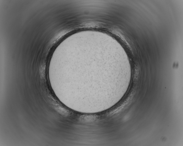 X0000094460778200712061222