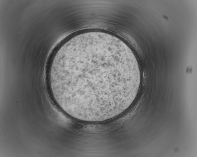 X0000094460780200712061222