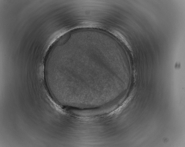 X0000094460781200712061222