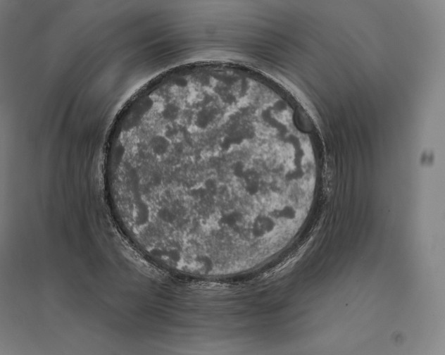 X0000094460783200712061222