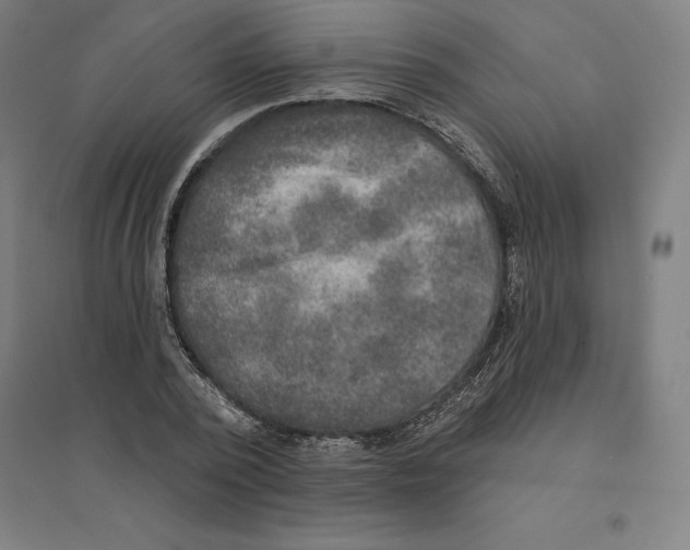 X0000094460784200712061222