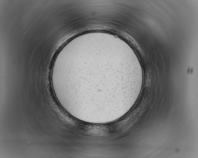 X0000094460786200712061222