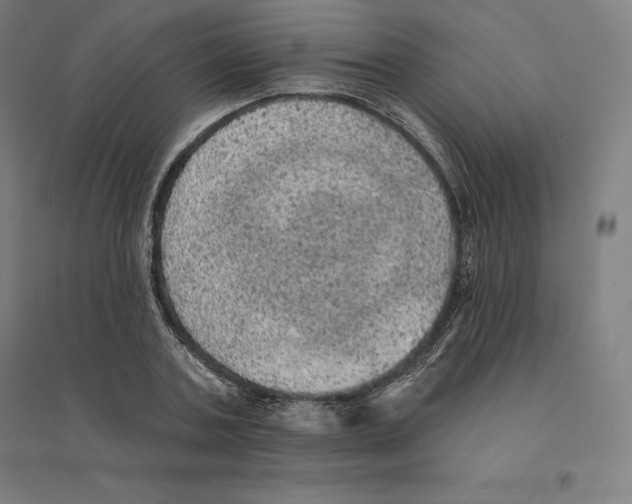 X0000094460787200712061222