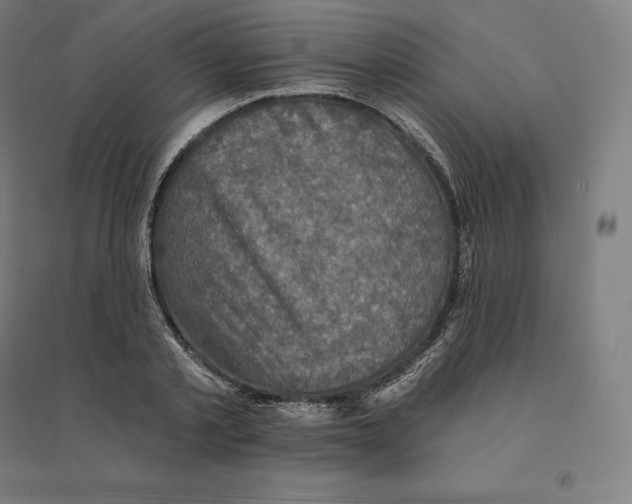 X0000094460789200712061222