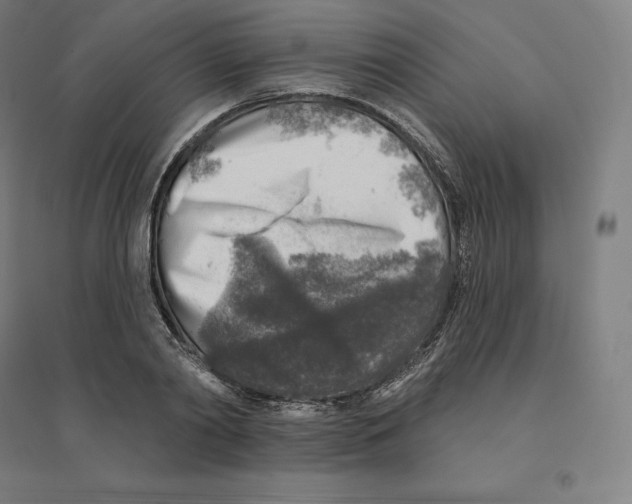 X0000094460790200712061222