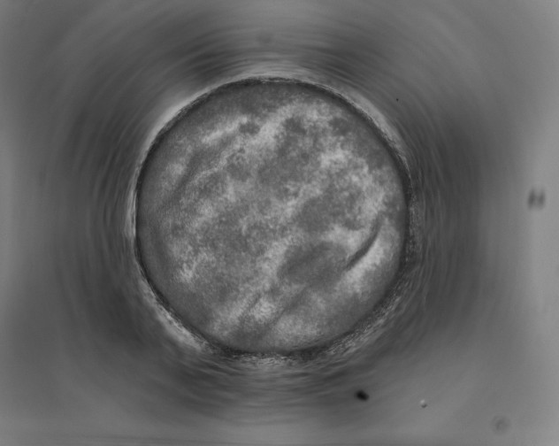 X0000094460791200712061222