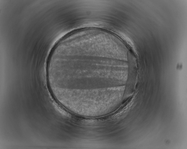 X0000094460792200712061222