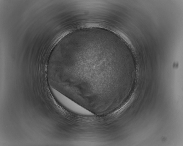 X0000094460793200712061222