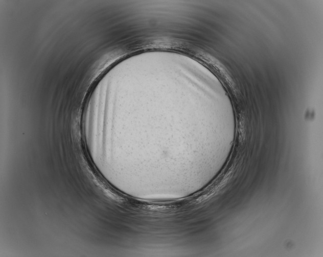 X0000094460794200712061222