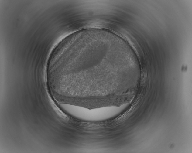 X0000094460795200712061222