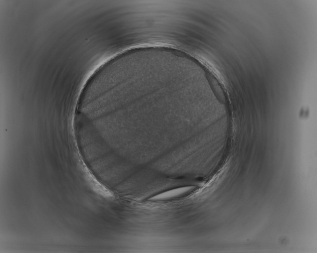 X0000094460797200712061222