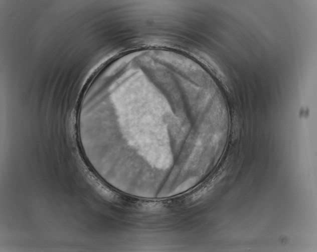 X0000094460798200712061222