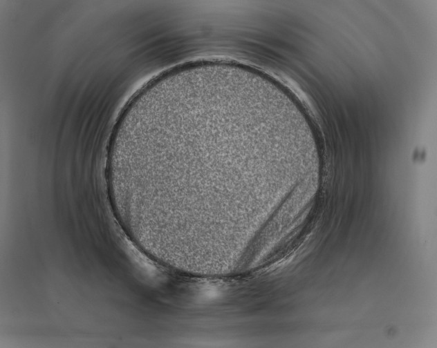 X0000094460799200712061222