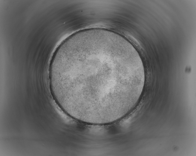 X0000094460800200712061222