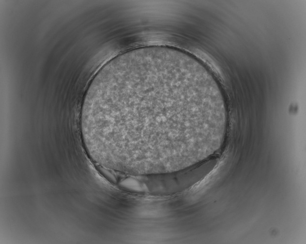 X0000094460801200712061222