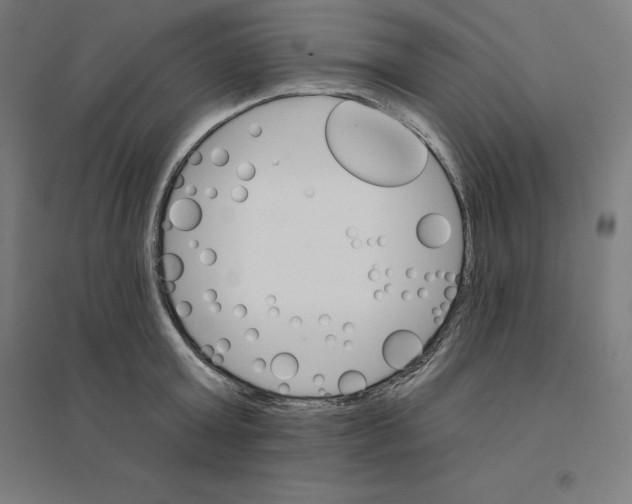 X0000094460803200712061222