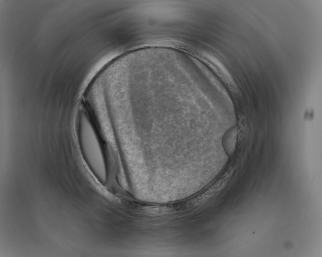 X0000094460804200712061222