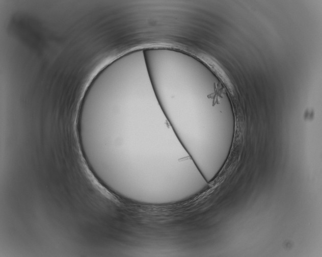 X0000094460805200712061222