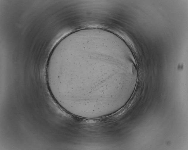 X0000094460806200712061222