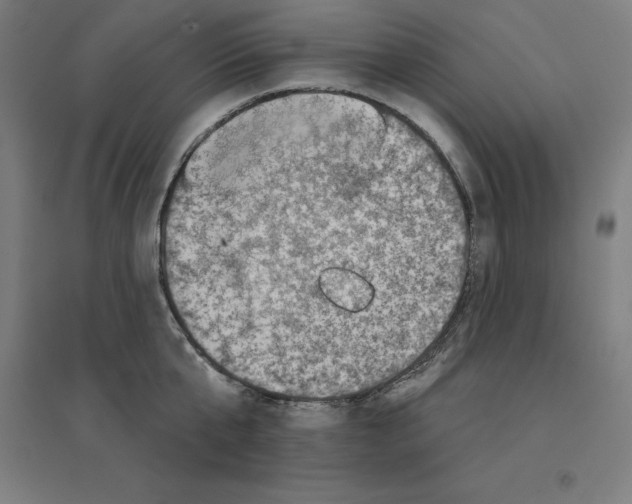 X0000094460807200712061222