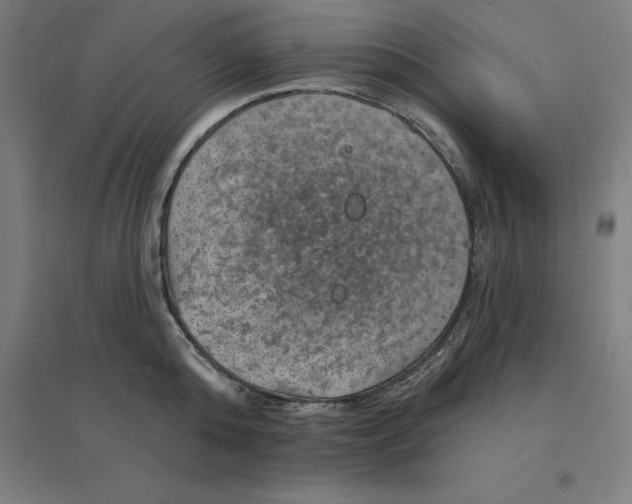 X0000094460808200712061222