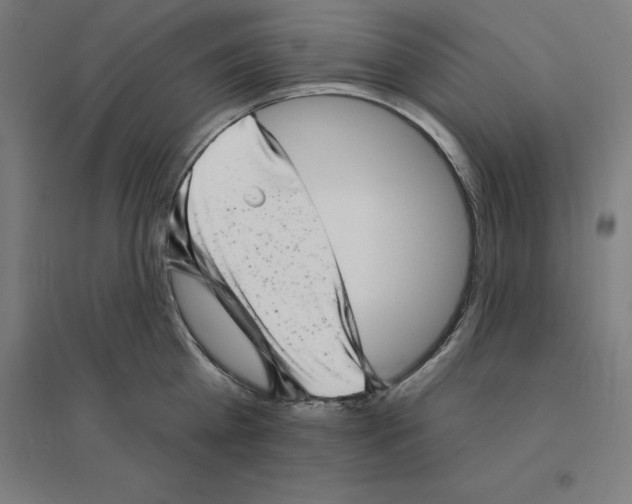 X0000094460809200712061222