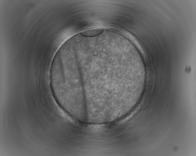 X0000094460810200712061222