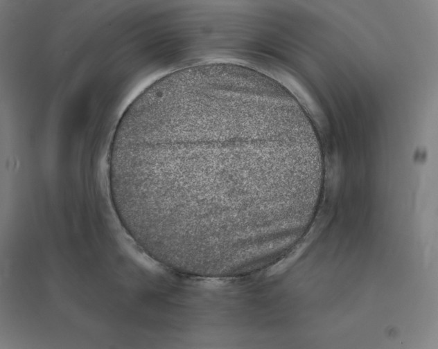 X0000094460814200712061222