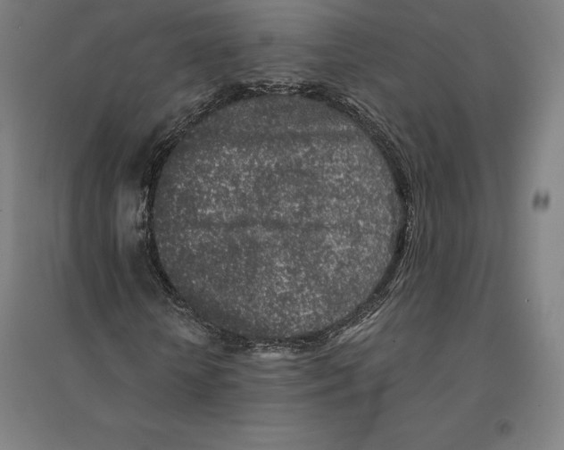 X0000094460818200712061221