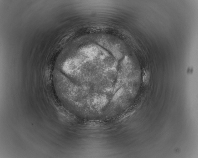 X0000094460819200712061221