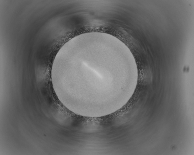 X0000094460820200712061221