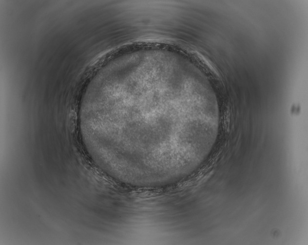 X0000094460821200712061221