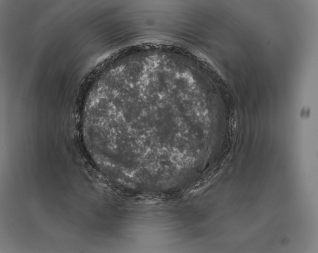 X0000094460822200712061221