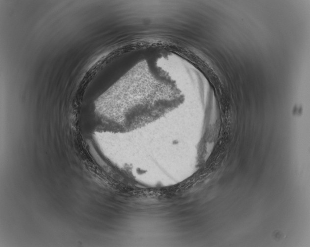 X0000094460823200712061221