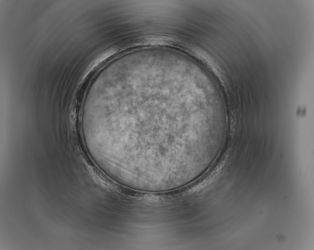 X0000094460827200712061221