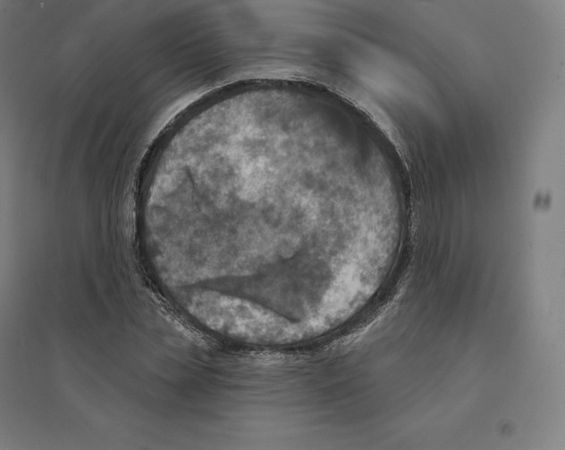 X0000094460829200712061221