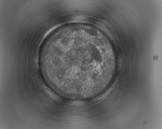 X0000094460830200712061221