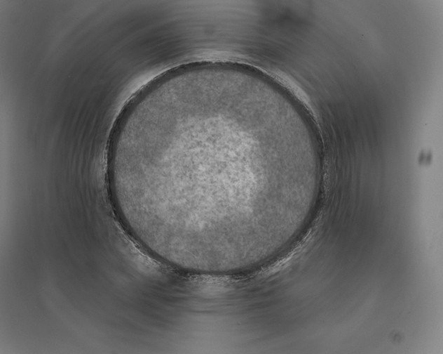 X0000094460831200712061221