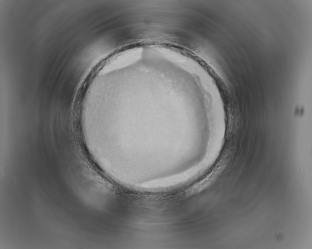 X0000094460832200712061221