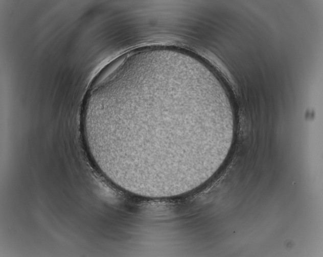 X0000094460834200712061221