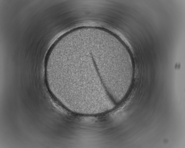 X0000094460837200712061221