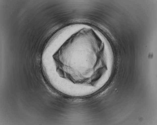 X0000094460841200712061222