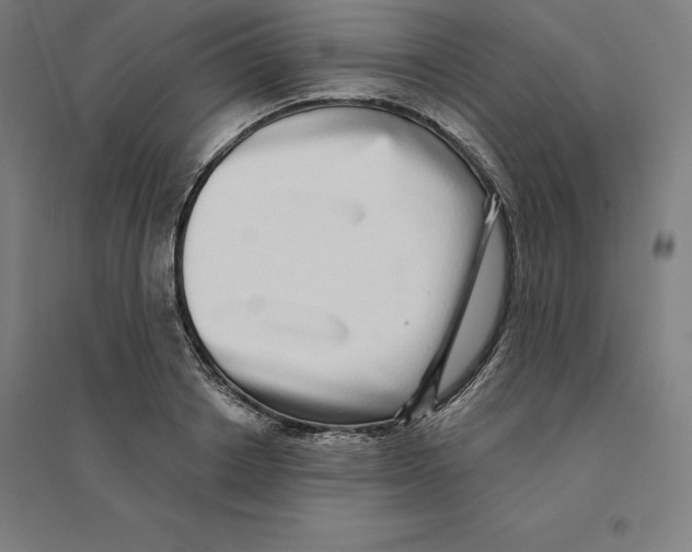 X0000094460842200712061222