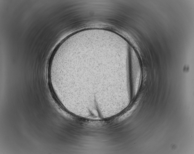 X0000094460843200712061222