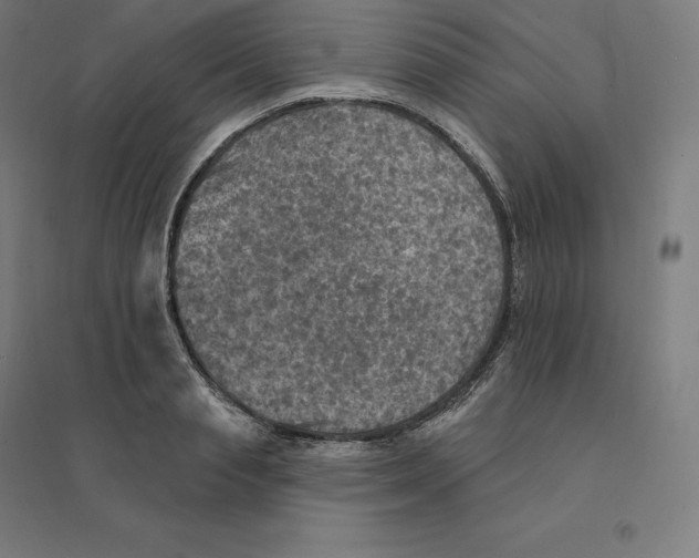 X0000094460845200712061222