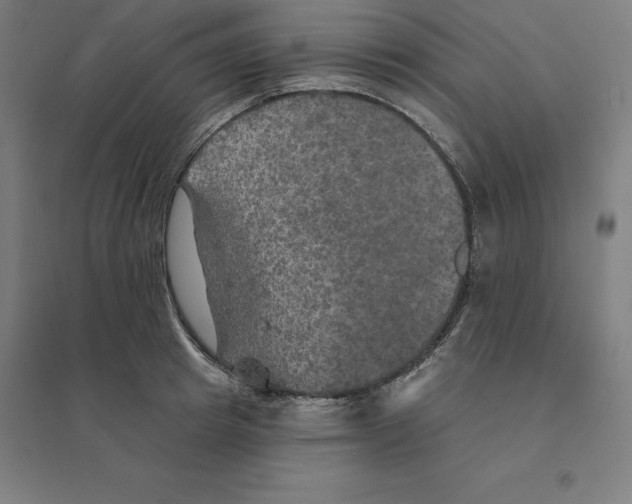 X0000094460849200712061222