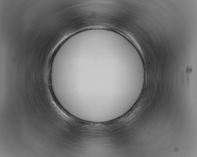 X0000094460851200712061222