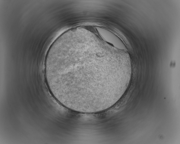 X0000094460852200712061222