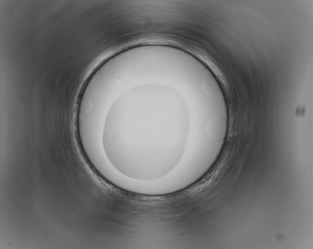 X0000094460853200712061222